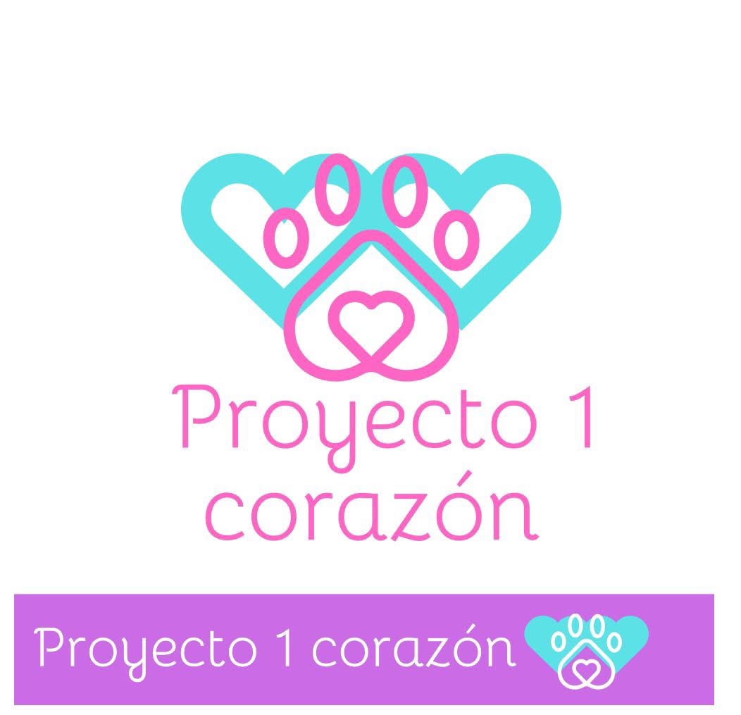 Foto de Proyecto 1 corazón